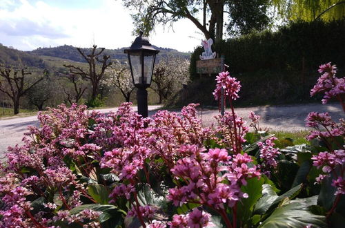 Photo 28 - Agriturismo le Spighe - Fattoria Bertaccini