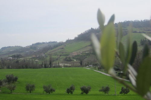 Photo 34 - Agriturismo le Spighe - Fattoria Bertaccini