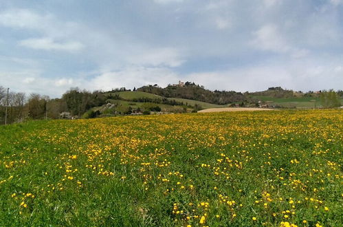 Foto 42 - Agriturismo le Spighe - Fattoria Bertaccini