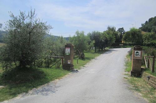 Photo 27 - Agriturismo le Spighe - Fattoria Bertaccini