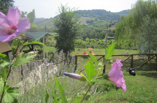 Photo 44 - Agriturismo le Spighe - Fattoria Bertaccini