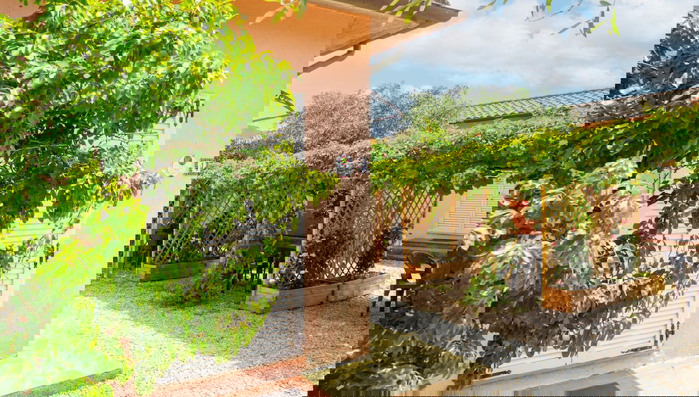 Imagem principal