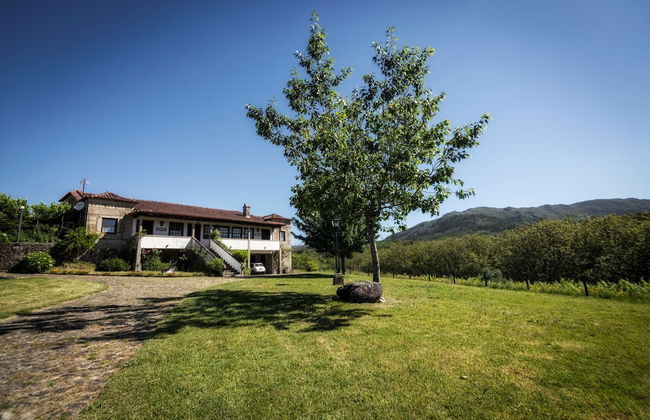 Quinta do Rei - Foto 22