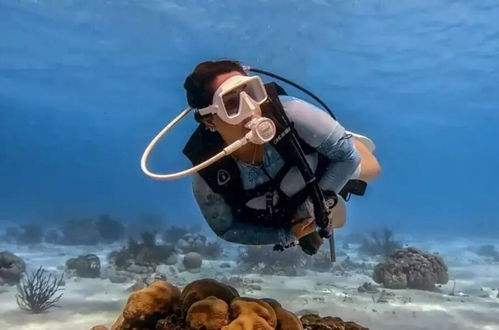 Foto 49 - Magnífica Mansão à 50m da praia de Barequeçaba para até 18 pessoas