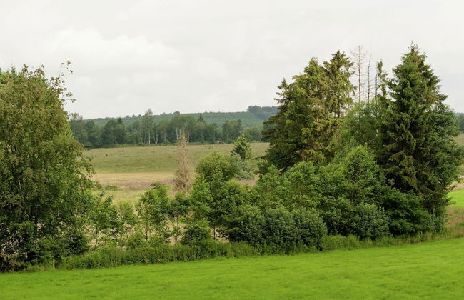 Holiday Home in Deiffelt Near Forest - Foto 39