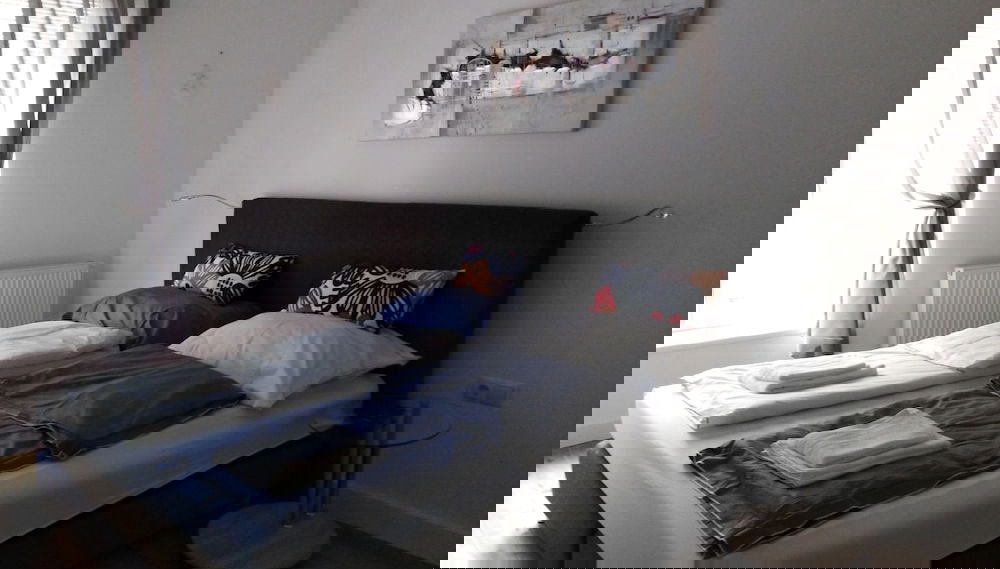 Imagem principal