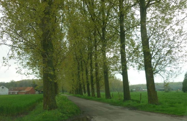Holiday Home in Cul-des-sarts Near Forest - Foto 36