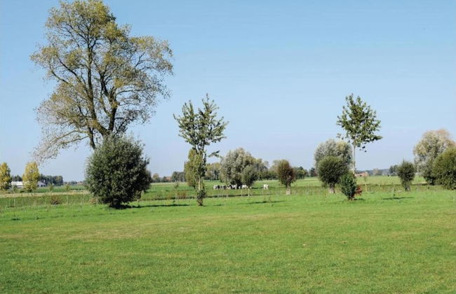 Holiday Home in Cul-des-sarts Near Forest - Foto 34
