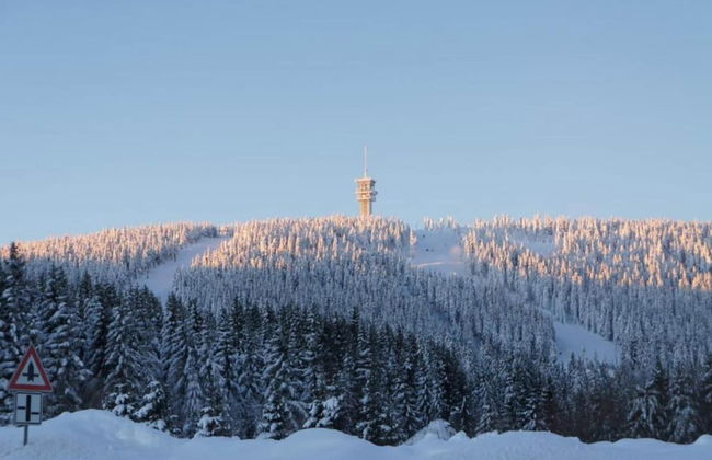 Snug Apartment in Jachymov near Ski Area - Foto 24