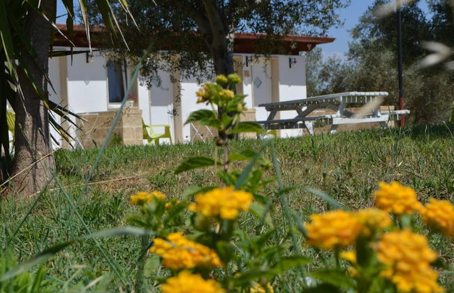 Agriturismo Terra D'Ulivi - Foto 39