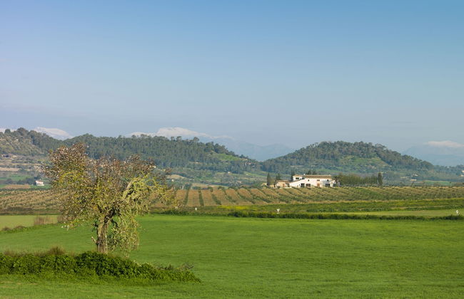 Agroturisme Gossalba - Foto 39