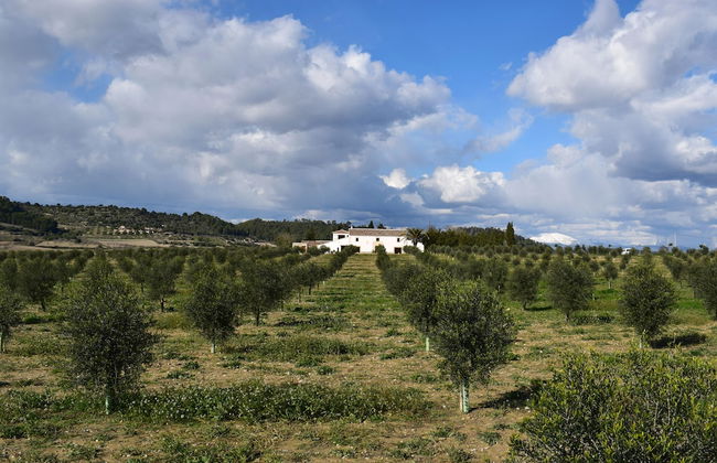 Agroturisme Gossalba - Foto 31