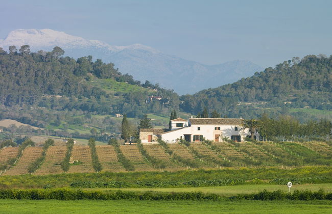 Agroturisme Gossalba - Foto 40