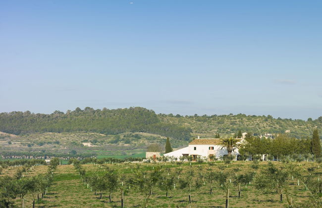 Agroturisme Gossalba - Foto 32