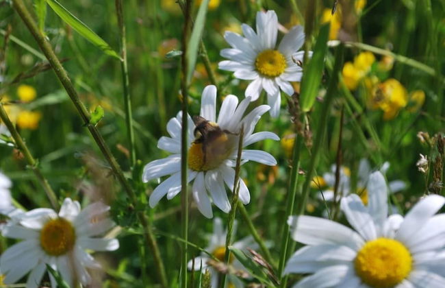 Beautiful 3 Bedroomed Cotswolds Farmhouse - Photo 38