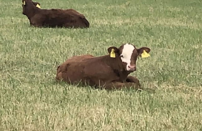 Beautiful 3 Bedroomed Cotswolds Farmhouse - Photo 30