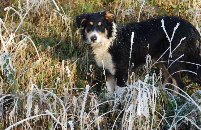Beautiful 3 Bedroomed Cotswolds Farmhouse - Photo 31