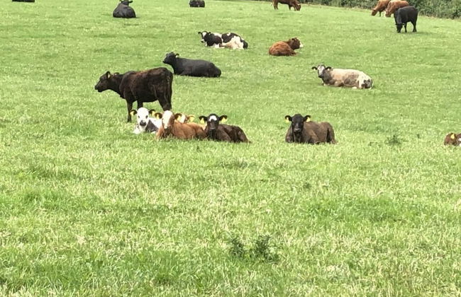 Beautiful 3 Bedroomed Cotswolds Farmhouse - Photo 28