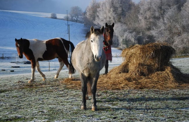 Beautiful 3 Bedroomed Cotswolds Farmhouse - Photo 32