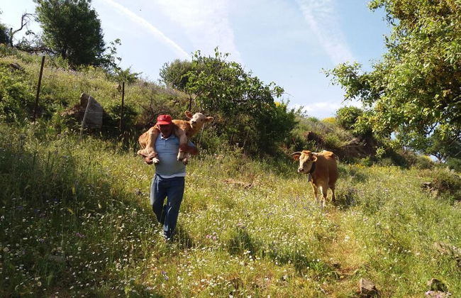 Fontanarossa - Photo 14
