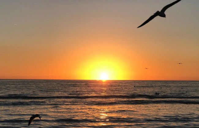 Tropical Waterview Mansion - Foto 32