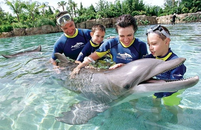 Tropical Waterview Mansion - Foto 28