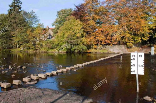 Photo 10 - Charming 2-bed Cottage in the Heart of Stanhope