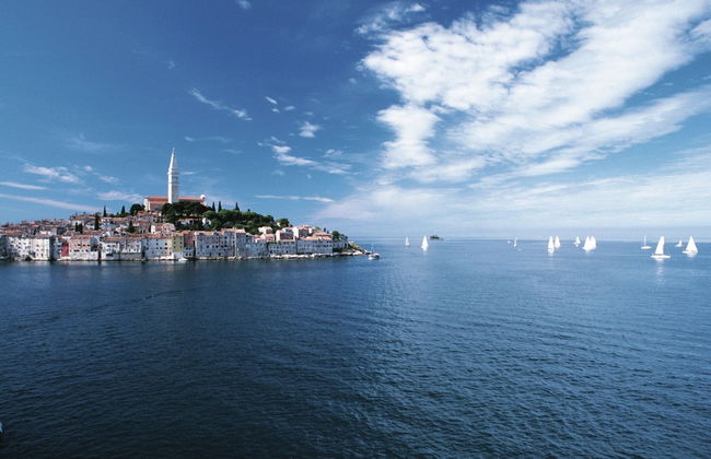 Villa in Porec With Private Pool & Garden - Foto 40