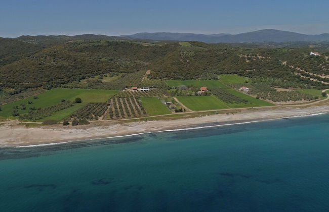 Casa Del Olivar - Foto 37