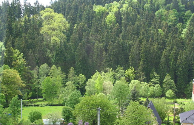 Villa in Borstendorf Nahe Erzgebirge - Foto 21