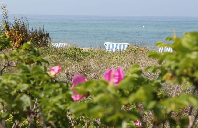 Holiday Home Near Wismar World Heritage - Foto 36