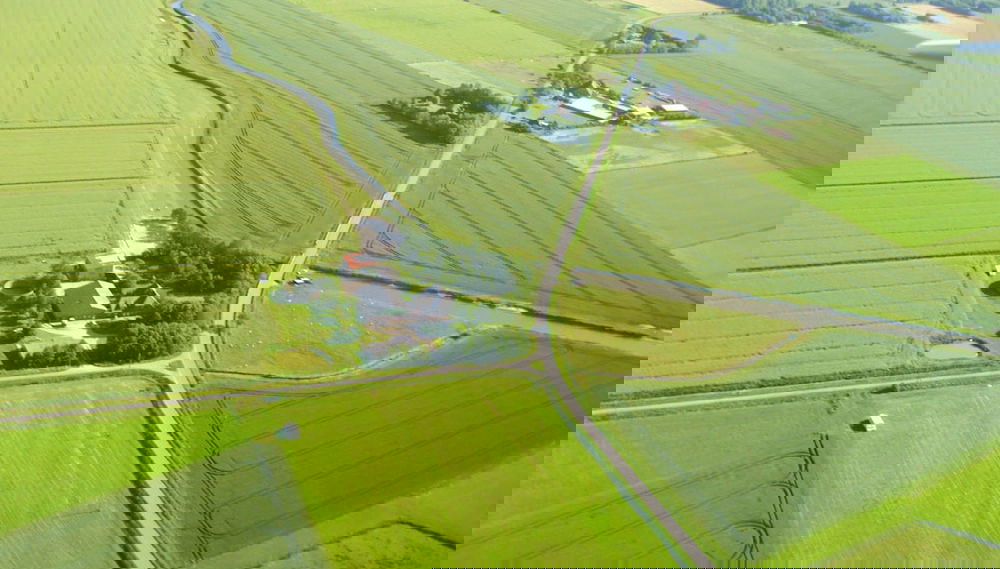 Imagem principal