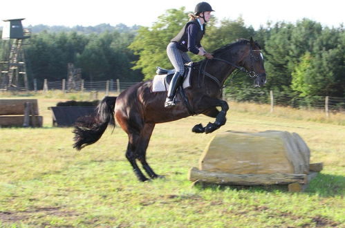 Photo 40 - Holiday Home on a Horse Farm in Heath