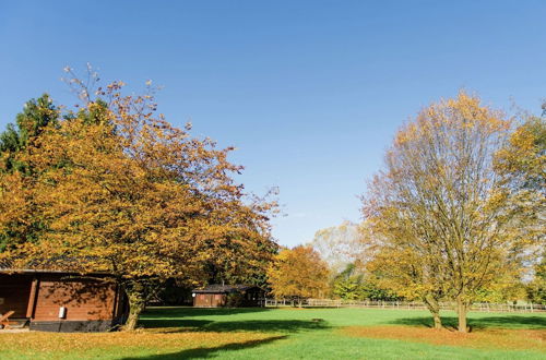 Photo 38 - Holiday Home on a Horse Farm in Heath