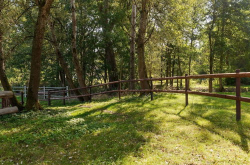 Photo 29 - Holiday Home on a Horse Farm in Heath