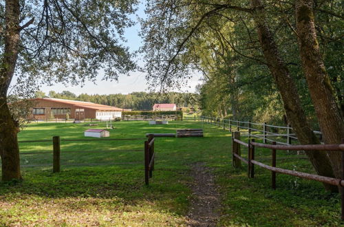 Photo 28 - Holiday Home on a Horse Farm in Heath