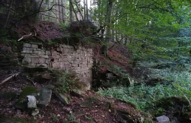 Ferienwohnung mit Garten auf dem Bauernhof - Photo 19