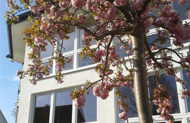 Pension & Ferienwohnung Schweinsberg - Foto 47