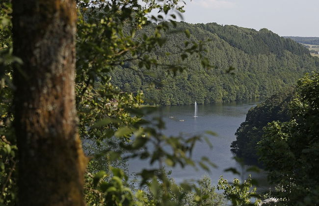 Landhaus Wald und See - Foto 15