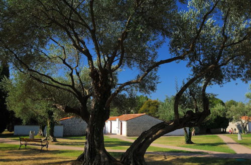 Photo 24 - Comfortable Holiday Home With a Terrace, Near Rovinj