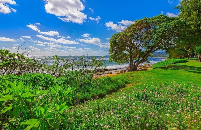 Beautifully Upgraded, Full Kitchen, Comfy King Bed, Ac 1 Bedroom Condo by RedAwning - Foto 36