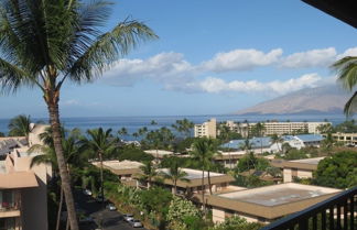 Photo 1 - Kihei Akahi D604 1 Bedroom Condo by RedAwning