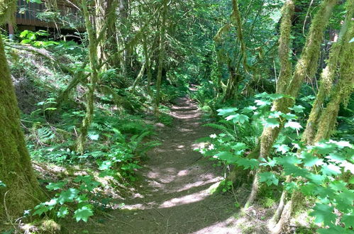 Photo 44 - Mt Baker Lodging Cabin 43 Sleeps 6