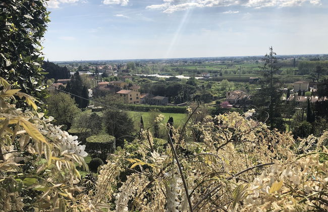 Villa Alta - Foto 54