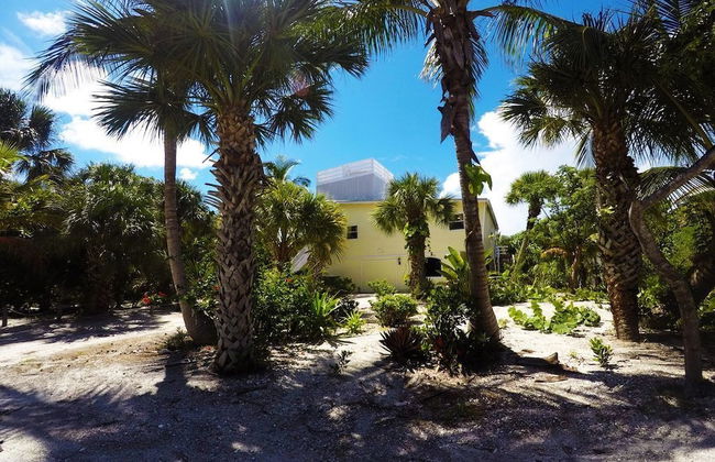 The Little Oasis Beach House - Photo 34