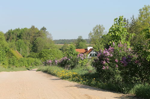 Foto 50 - Landhaus Masurische Schweiz