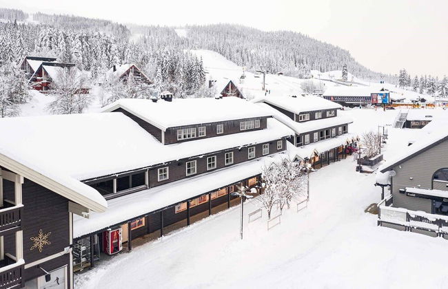Skitorget - Foto 1