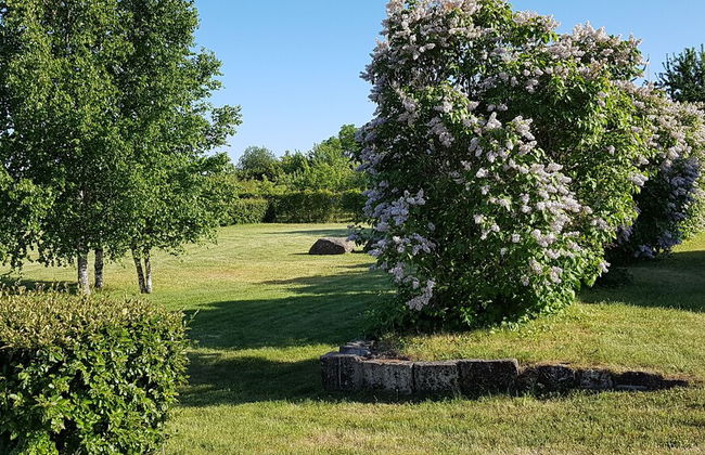 Sinilille 7 Holiday Home - Foto 20