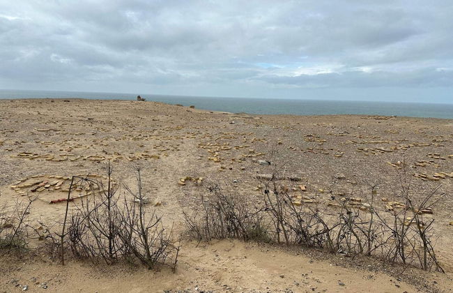 6 Person Holiday Home in Hjorring - Foto 22