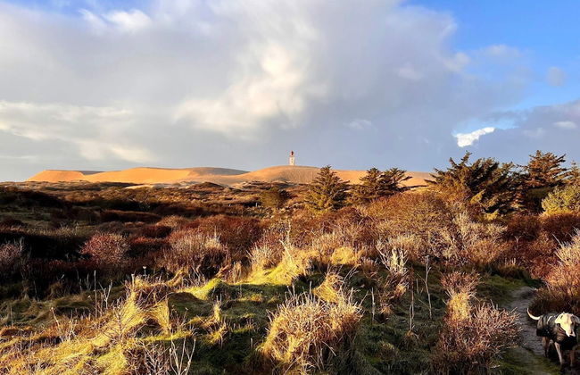 6 Person Holiday Home in Hjorring - Foto 7